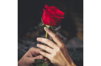 Как продлить свежесть роз дома: советы от La Flora