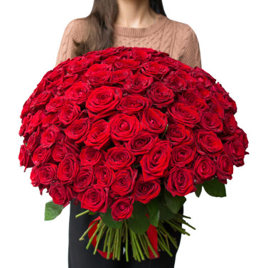 101 rote Rose