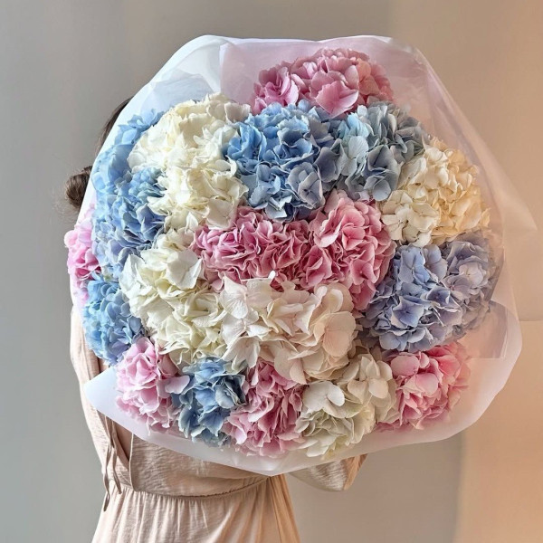 Nube azul