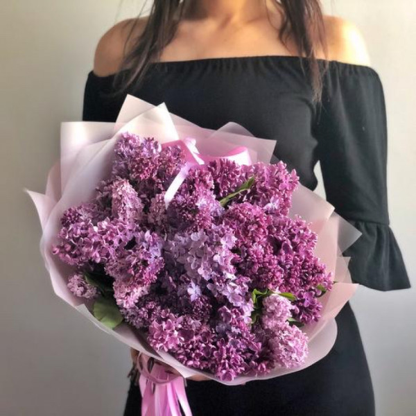 Delikatny bez