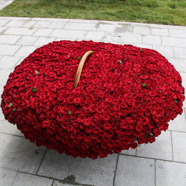 1001 Rose für dich