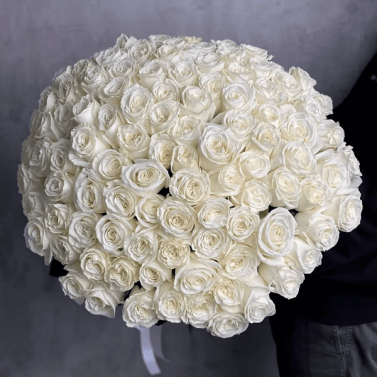 White Symphony: 101 Rose