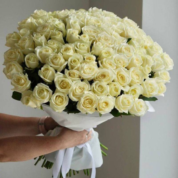 White Symphony: 101 Rose