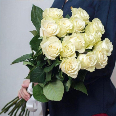 White Harmony: 15 Roses