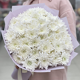 Strauß Zarter Wolken: 15 Weiße Chrysanthemen