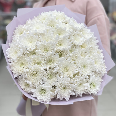 Bouquet of Gentle Clouds: 15 White Chrysanthemums