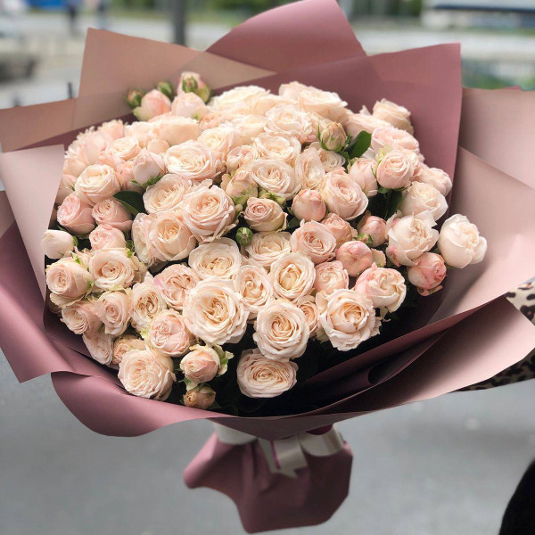 Armonia Rosa: 21 Rose da Arbusto