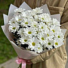 Strauß aus weißen Chrysanthemen