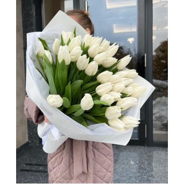 35 weiße Tulpen