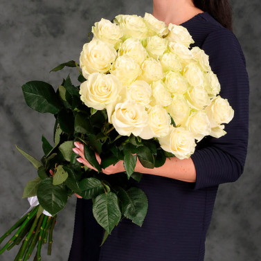 27 white roses 50 cm