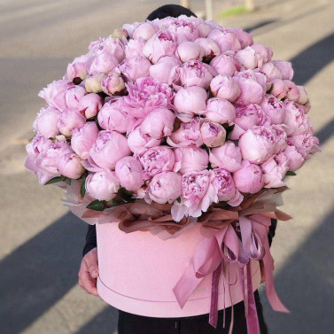 Strauß aus 101 Pfingstrosen in der Box