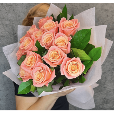 15 Peach Roses