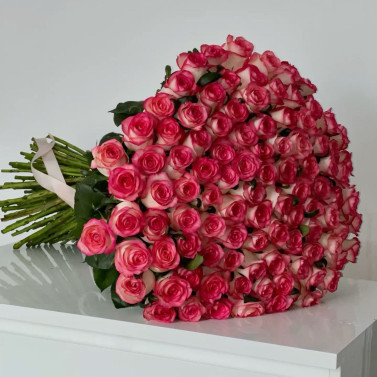 101 pink rose