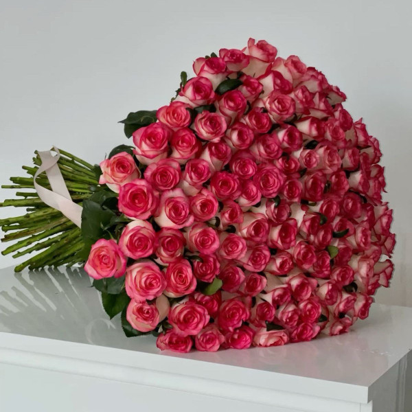 101 rosa Rose