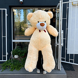 Bär 200 cm