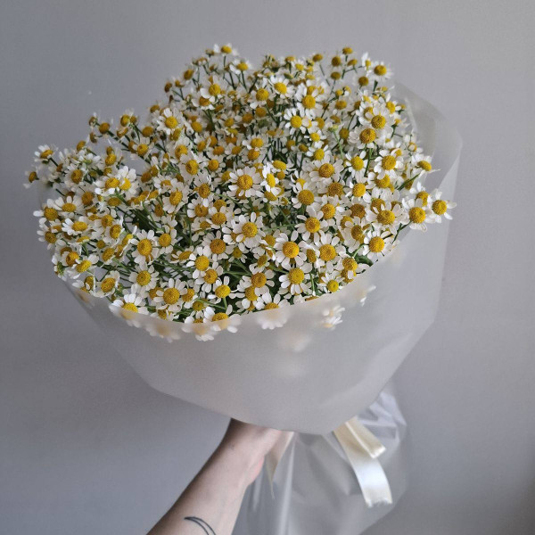 Bouquet de marguerites «Aérien»