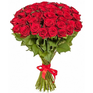 55 red roses 80 cm