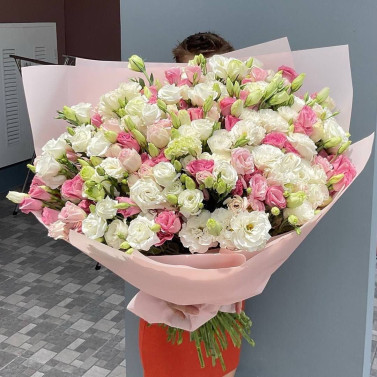 Bukiet ze 101 eustom w delikatnych różowych odcieniach