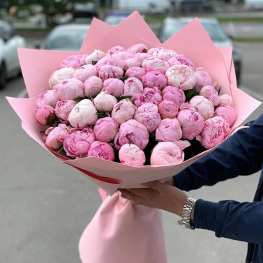 51 Peony