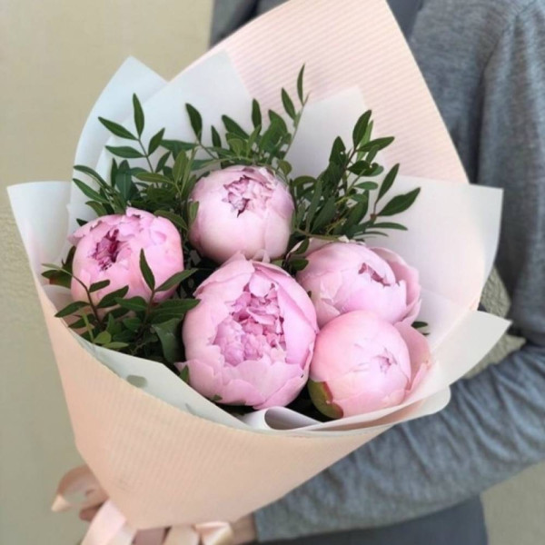 Peonie delicate