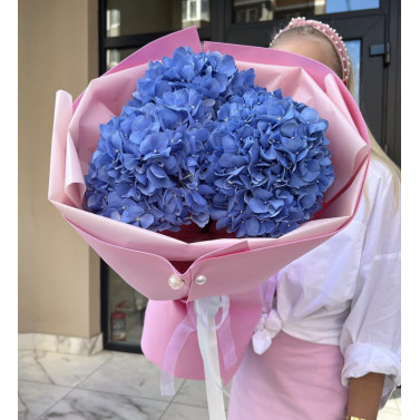 Blue Trio of Hydrangeas