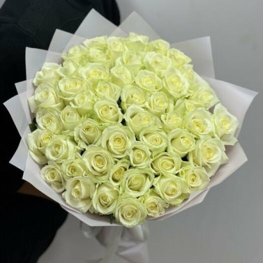 51 White Rose