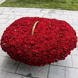 1001 rosa para ti