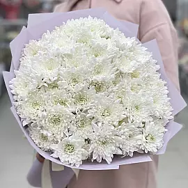 Ramo de Nubes Suaves: 15 Crisantemos Blancos
