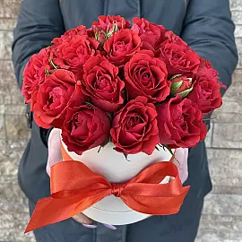 Rosen der Begeisterung