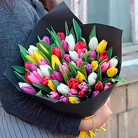Kytice ze 51 jasných barevných tulipánů