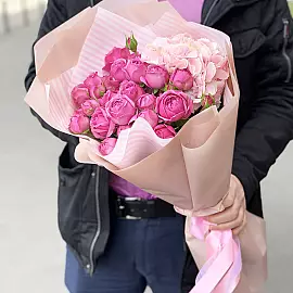 Guimauve Rose