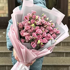 25 eustoma rosa