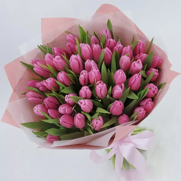 Букет із 49 рожевих тюльпанів