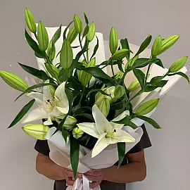 Ramo de 5 lirios frescos — el regalo perfecto
