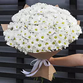 Chrysanthemenfestival