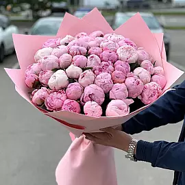 51 Півонія