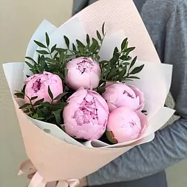 Pivoines douces