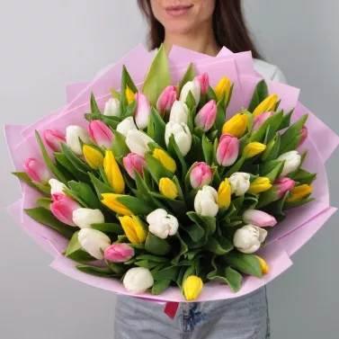 Mar de tulipanes — 51 tulipán colorido