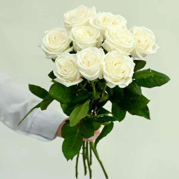 9 белых роз