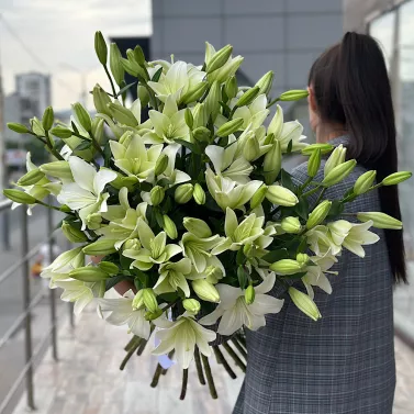 Букет з 21 білих лілій