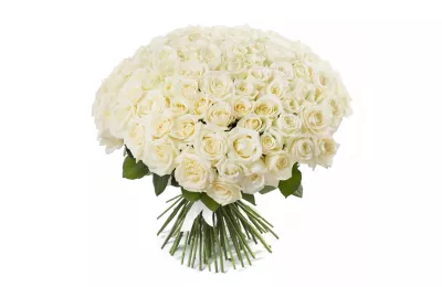 101 rosas blancas en Varsovia