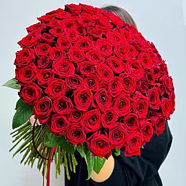 101 rosa vermelha