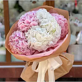 Bouquet de 5 hortensias