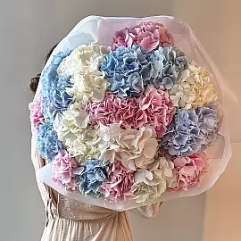 21 hortensias — un regalo delicado y llamativo