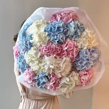 21 гортензія — ніжний та ефектний подарунок