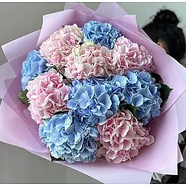 Aquarela perfumada