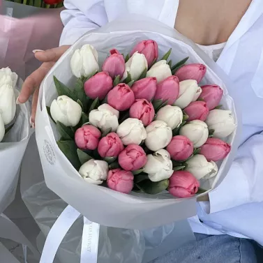 Ramo de 31 tulipanes — mezcla rosa y blanca de ternura