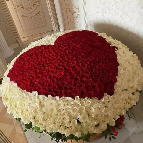 Пульс кохання