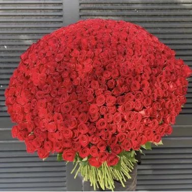 Магія 1001 троянди