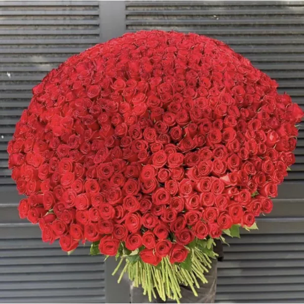 Магія 1001 троянди